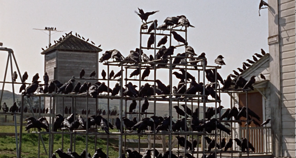 hitchcock