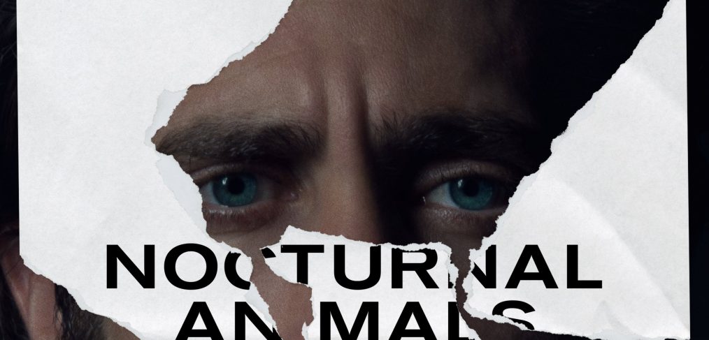 nocturnal animals