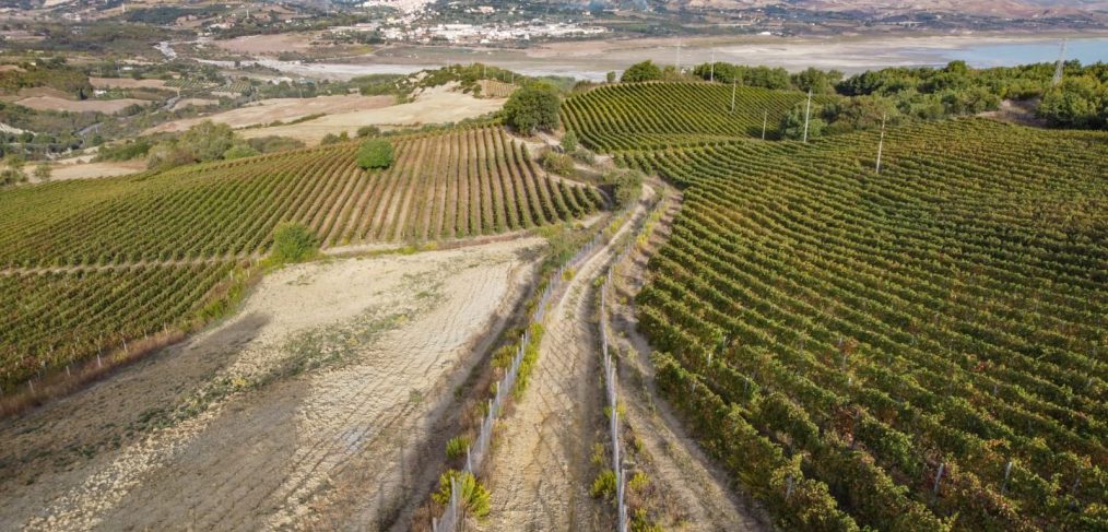 Tenuta Marino