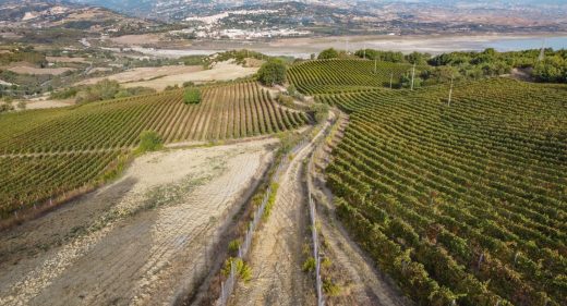 Tenuta Marino