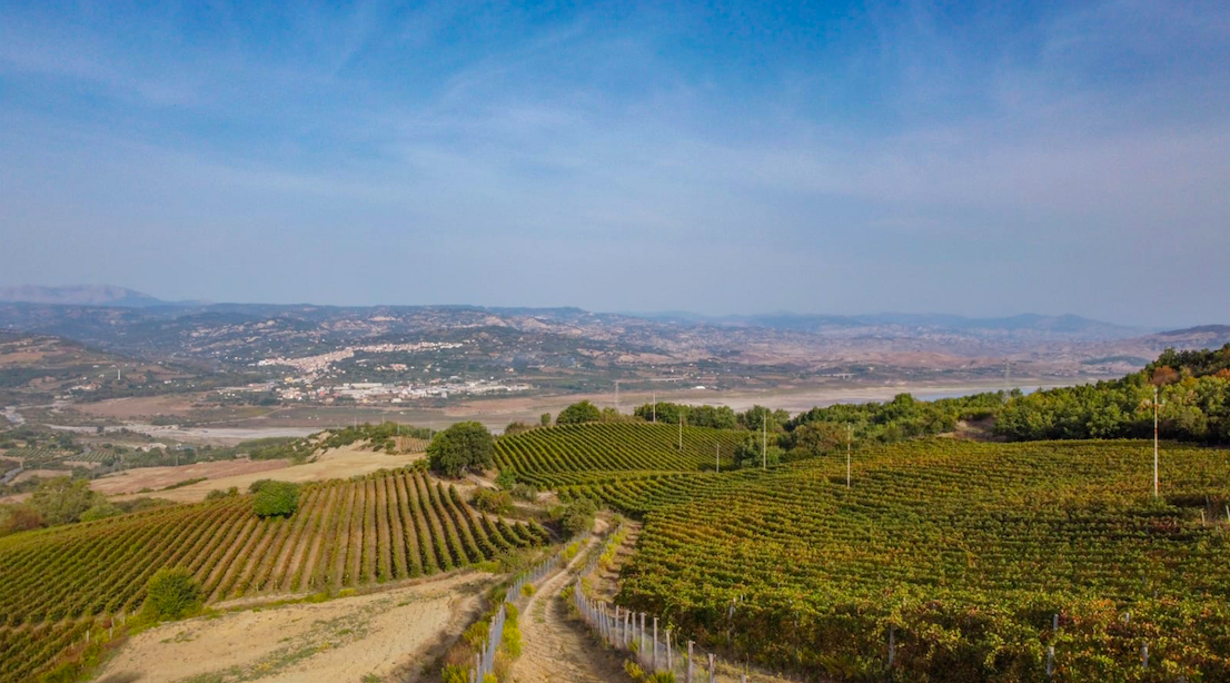 Tenuta Marino